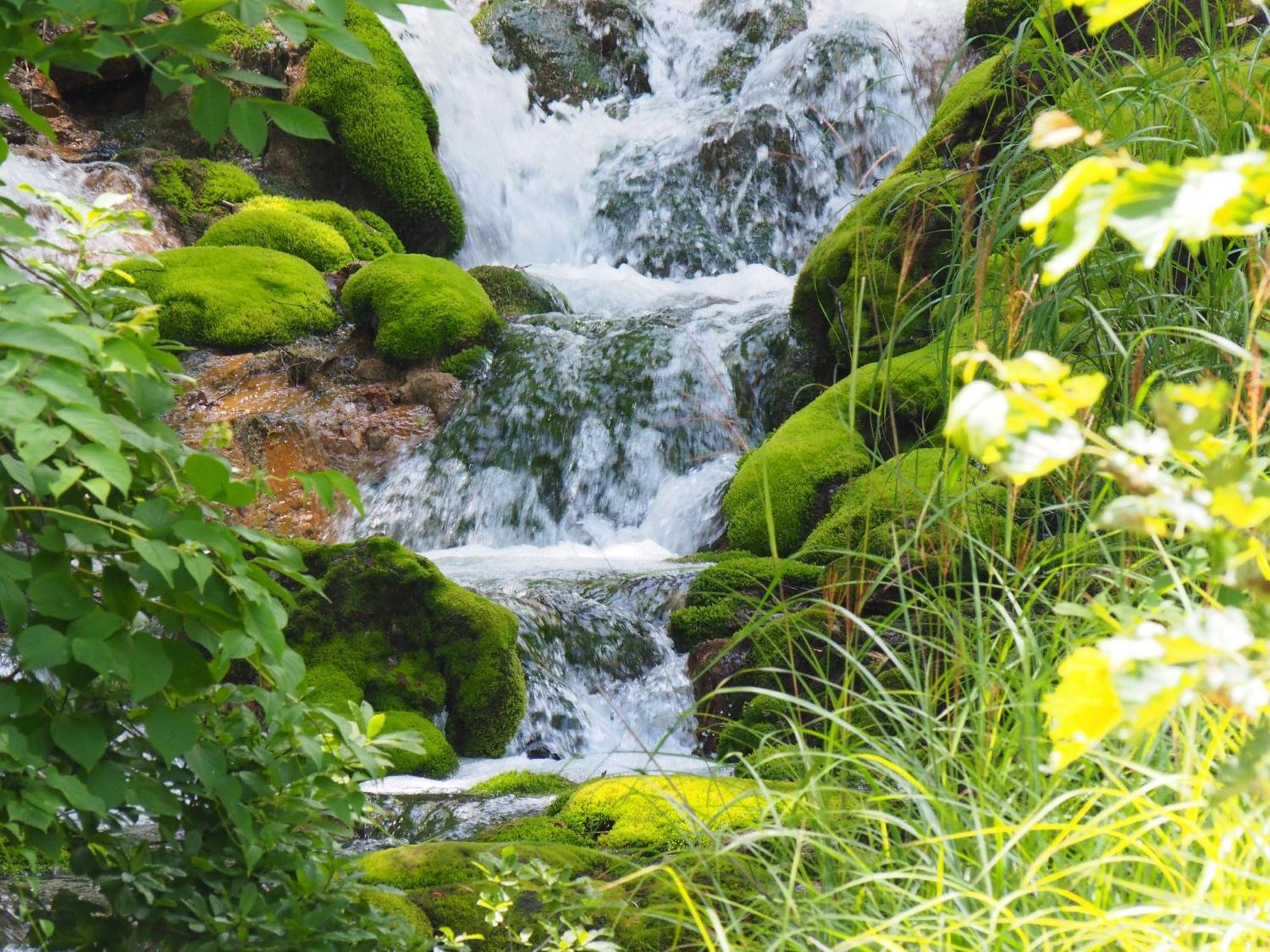 Buna Kusatsu Onsen Inn Ngoại thất bức ảnh